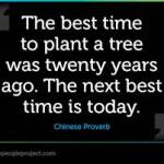 Best time to plant a tree...